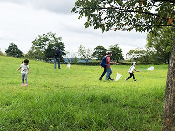 桂坂野鳥遊園子ども自然観察会　活動のようす画像