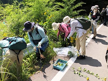 自然観察指導員京都連絡会の活動のようす画像