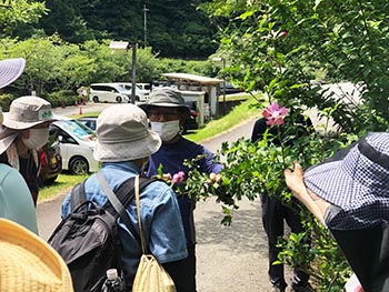 自然観察指導員京都連絡会の活動のようす画像
