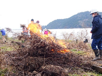 沖島里山保全の会　枯草を燃やして処分