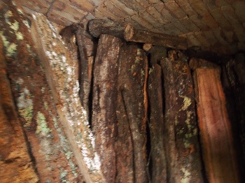 東草野炭焼き文化保存会　炭焼き窯の中のようす。丸太がきれいに立てて並べられている