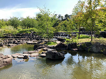 コナラ会　水景園の池