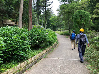 みどりの会伏見桃山　公園の一番下の道