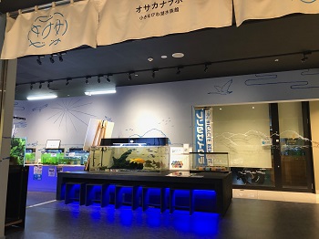 未来生物学研究所　近江淡水生物研究所が管理している「小さなびわ湖水族館」