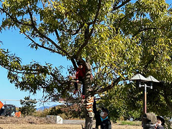 西の湖自然楽校　木登りする子ども