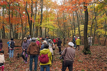 山門水源の森を次世代に引き継ぐ会の活動のようす画像　四季の森の紅葉観察会
