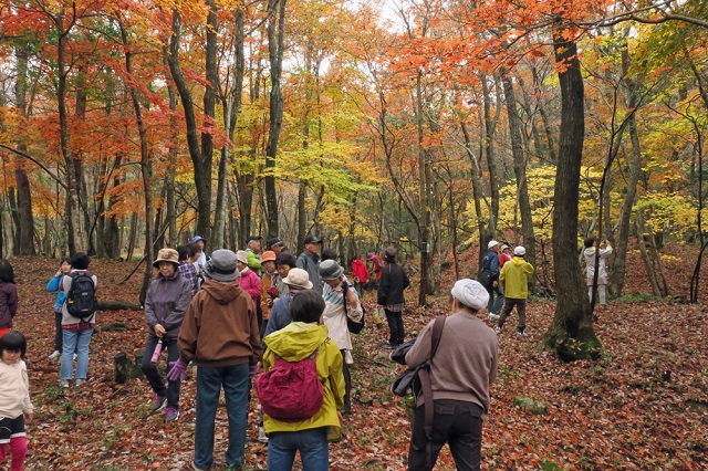 山門水源の森を次世代に引き継ぐ会の活動のようす画像　四季の森紅葉観察会