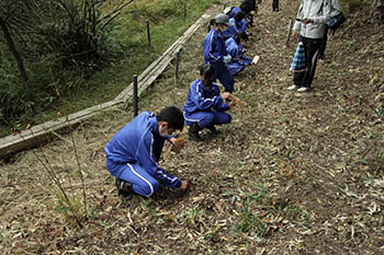 山門水源の森を次世代に引き継ぐ会の活動のようす画像　地元西浅井中学生のササユリ播種作業
