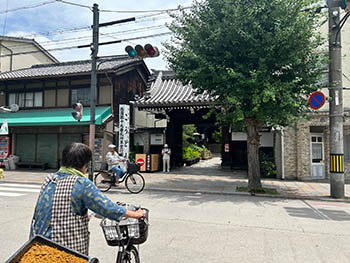 源氏藤袴会　活動のようす　自転車で案内してくださる代表の馬場さん。革堂行願寺の門が見えている