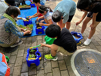 源氏藤袴会　活動のようす　植苗た鉢にジョロで水をやる小学生