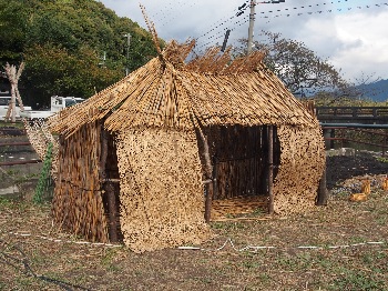 まるやまの自然と文化を守る会　ヨシで作られた小屋