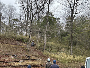 一般社団法人　甲賀ナイスローカルカンパニー　活動のようす画像　　里山の斜面に立ち枯れしている木をチェンソーで切っているところ