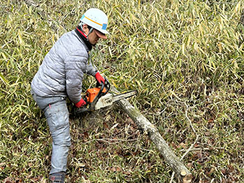 一般社団法人　甲賀ナイスローカルカンパニー　活動のようす画像　　倒した木の幹を斜面で足を踏ん張ってチェンソーで切るナイスメンバー