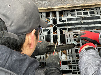 一般社団法人　甲賀ナイスローカルカンパニー　活動のようす画像　　　チェンソーの刃の目立て作業中。金の棒状のヤスリを使う