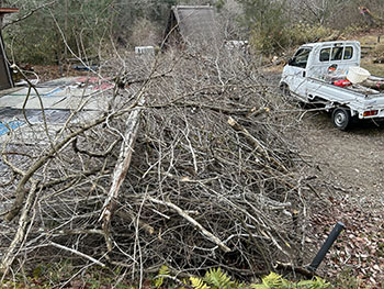 一般社団法人　甲賀ナイスローカルカンパニー　活動のようす画像　　　間伐材の枝を積み上げているところ。子どもの背丈より高くなっている