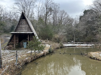一般社団法人　甲賀ナイスローカルカンパニー　活動のようす画像　　　　里山元気会のフィールドの池と炭焼き小屋